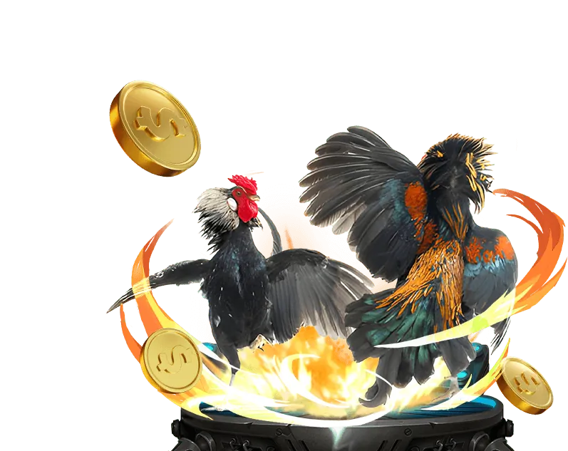 Nền tảng bảo mật của 55de