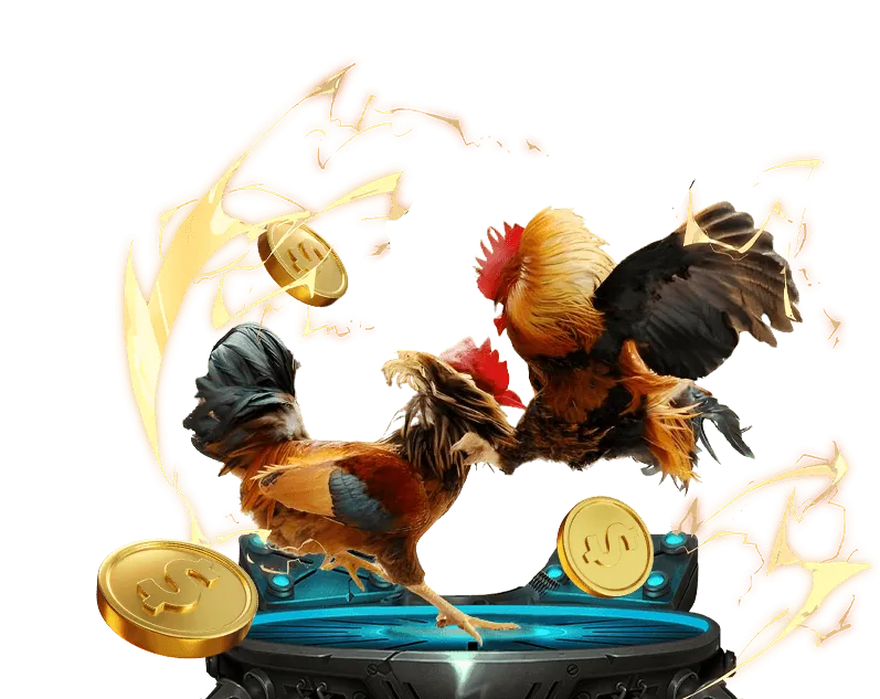 Các cấp độ thành viên VIP 55de